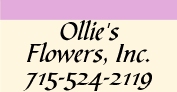Ollie's Flowers