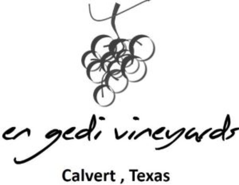 En Gedi Vineyard & Winery
