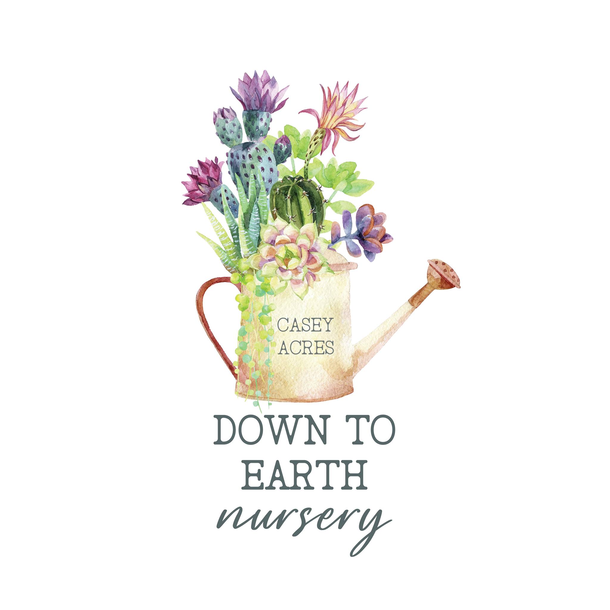 Down to Earth Nursery