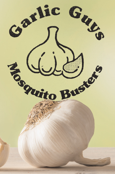 garlic can kill mosquitoes