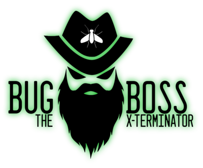 Bug Boss   The X Terminator
