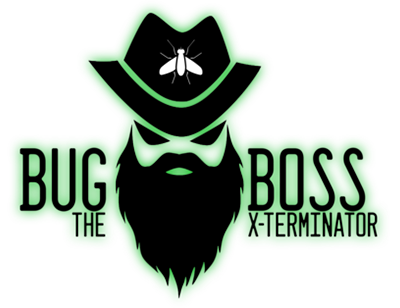 Bug Boss The X Terminator