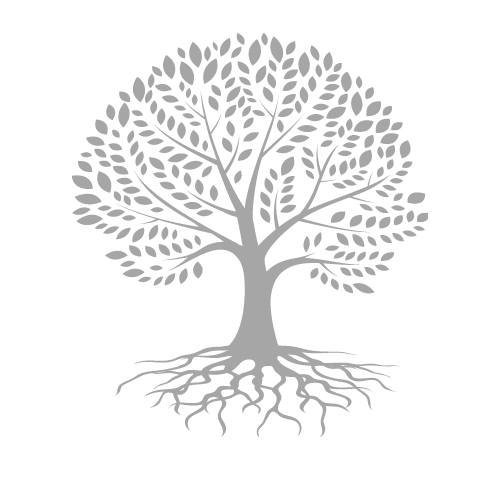Family Roots Chiropractic