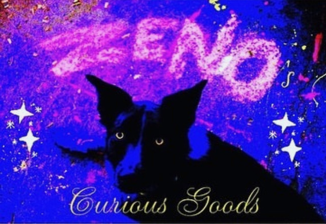 Zeno's Curious Goods