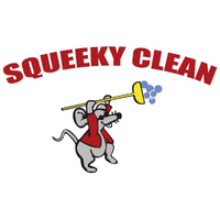 Squeeky Clean Car Wash