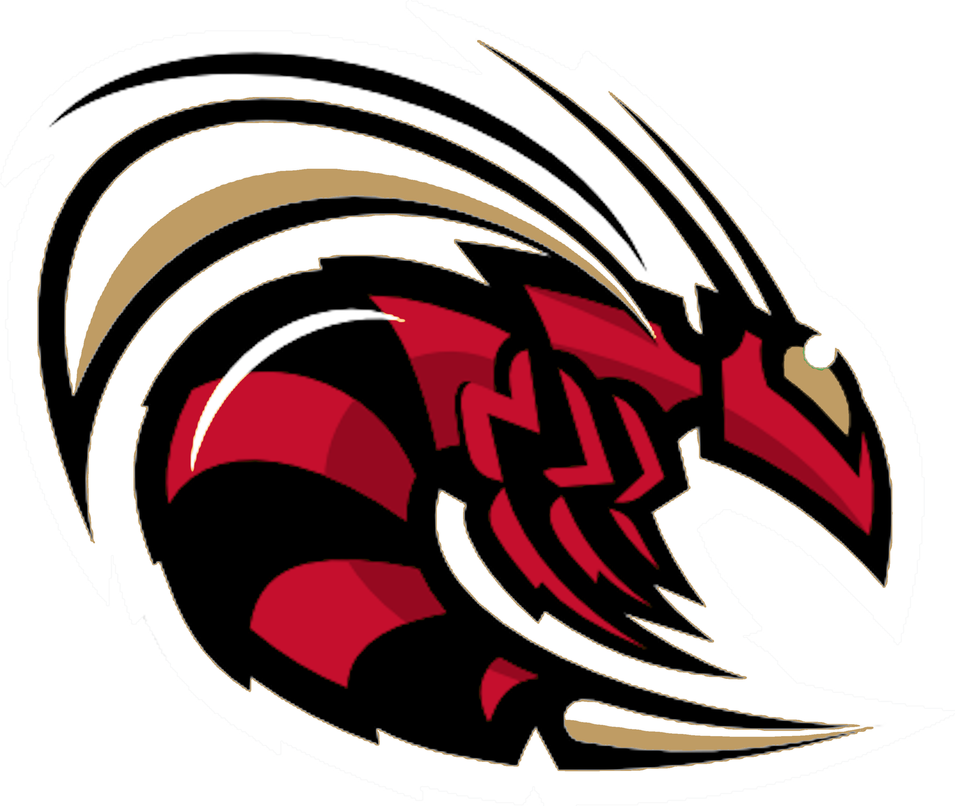 Swarm Football