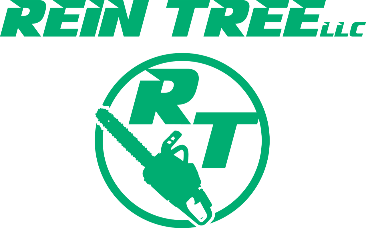 Rein Tree Services