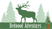 Redwood Adventures