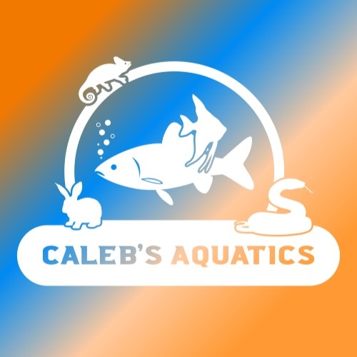 Caleb's Aquatics