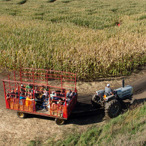 Severs Corn Maze, Shokopee 40.80 Promo Code valid for admission for