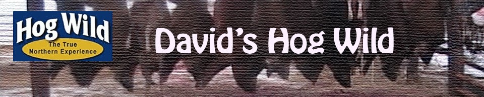 David's Hog Wild