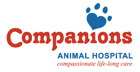 Companions Animal Hospital