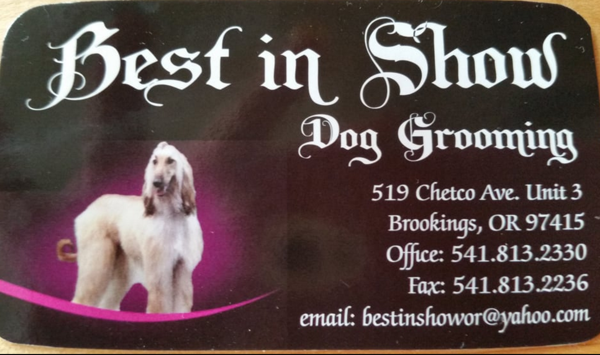 Best In Show Dog Grooming